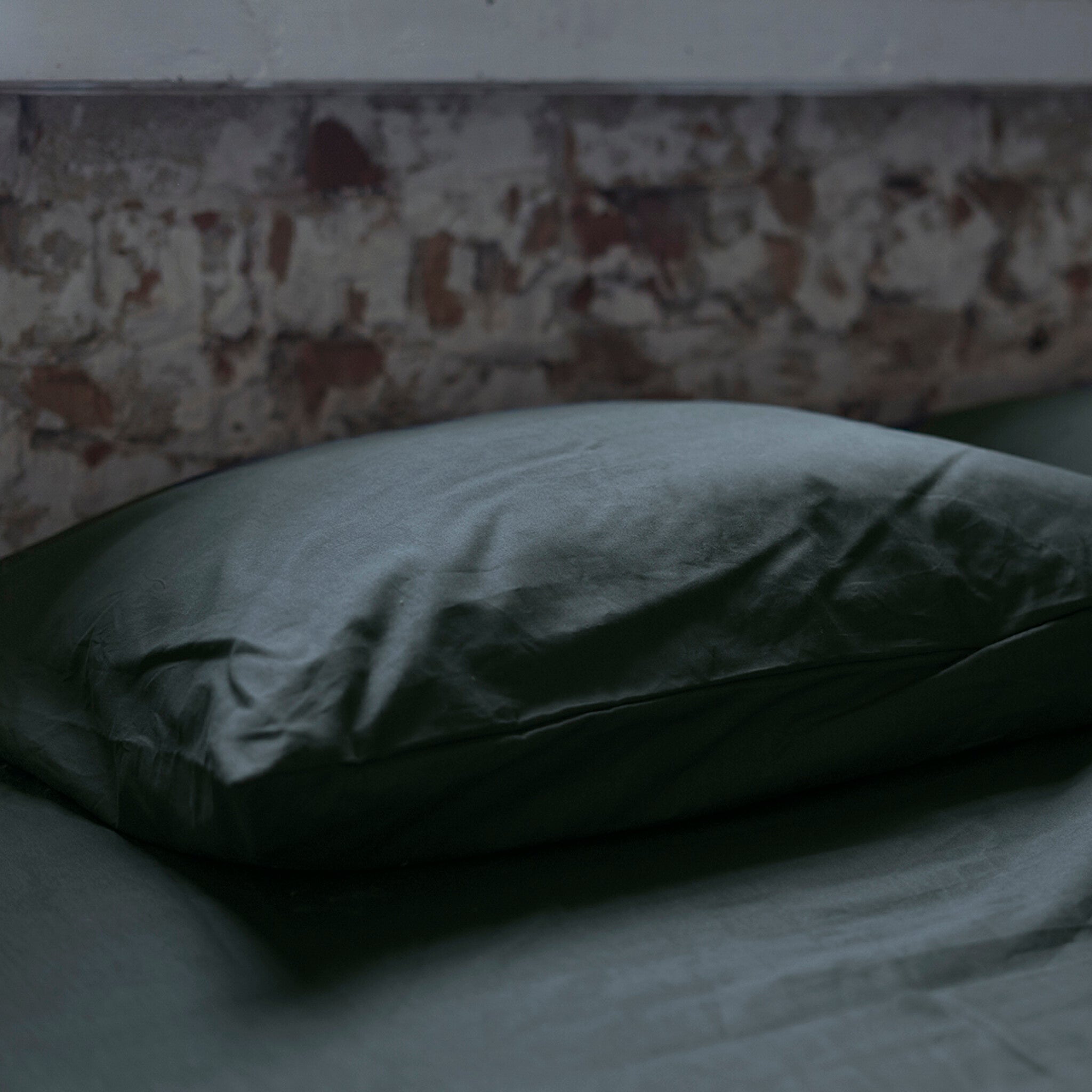 Kussensloop Plain Beauty Zwart 2x 60x70